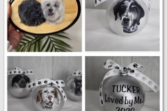 Animal-portraits-4